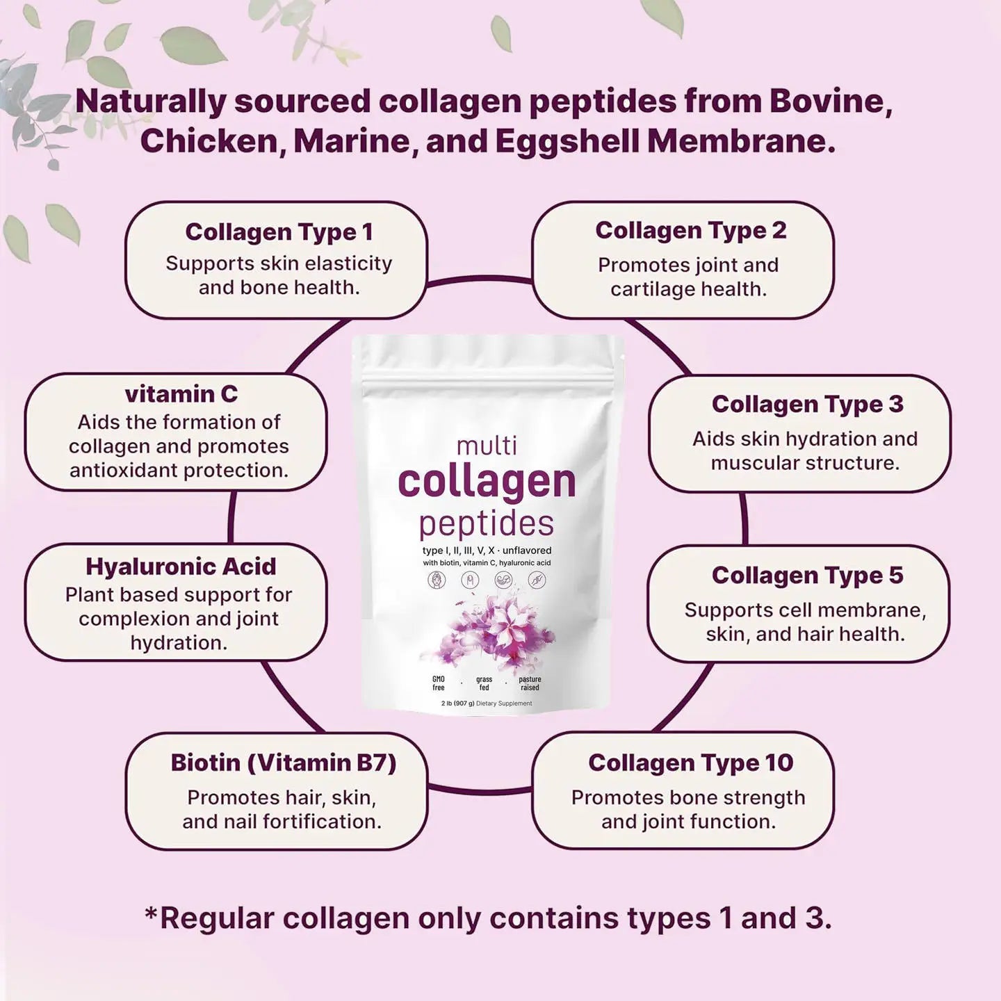 Multi Collagen Peptide Powder