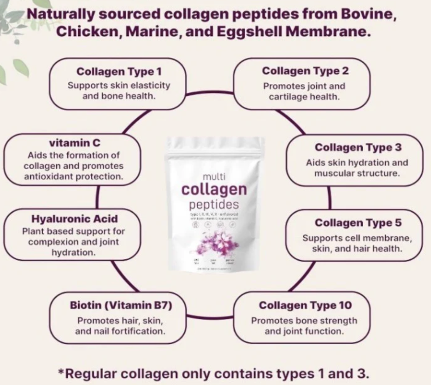 Multi Collagen Peptide powder