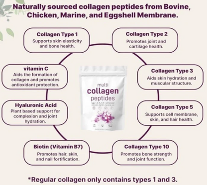 Multi Collagen Peptide powder